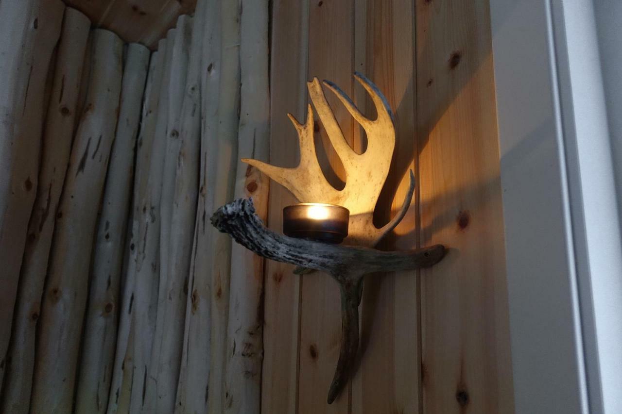 Wild Caribou'S Wildwood Cabin 拉克塞尔夫 外观 照片